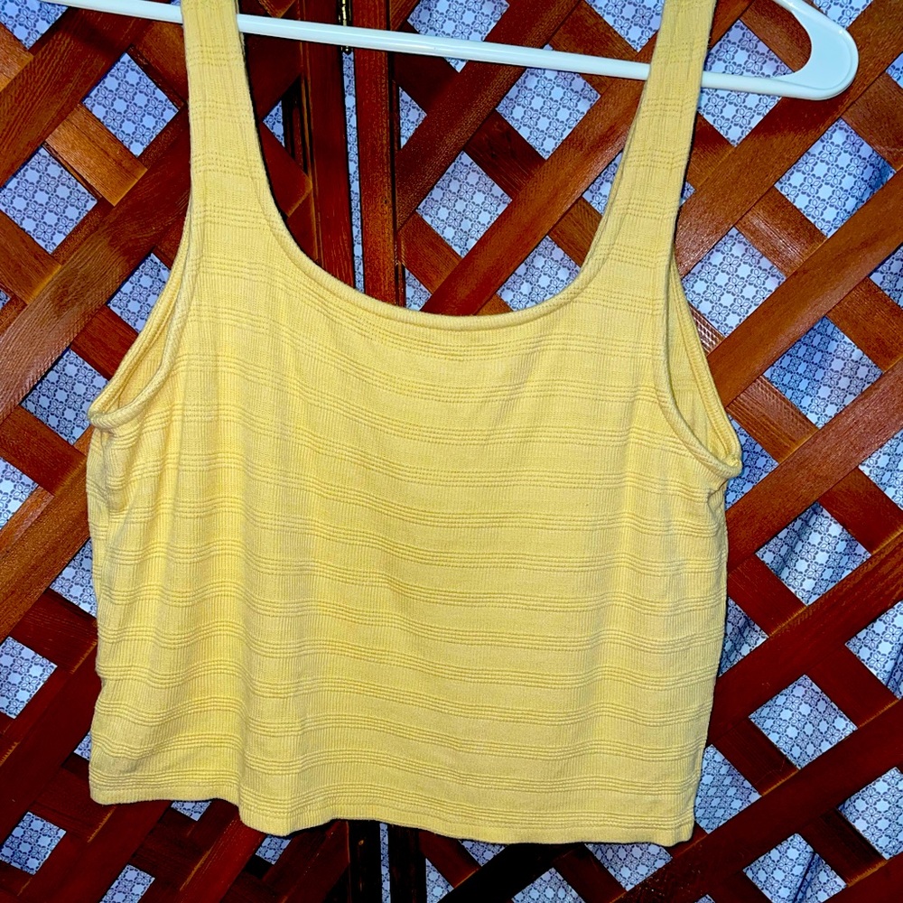 Cute L American Eagle crop. Never worn!